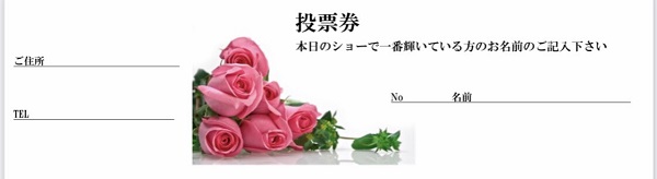 ミラクルチェンジショーin 名古屋のチケット裏